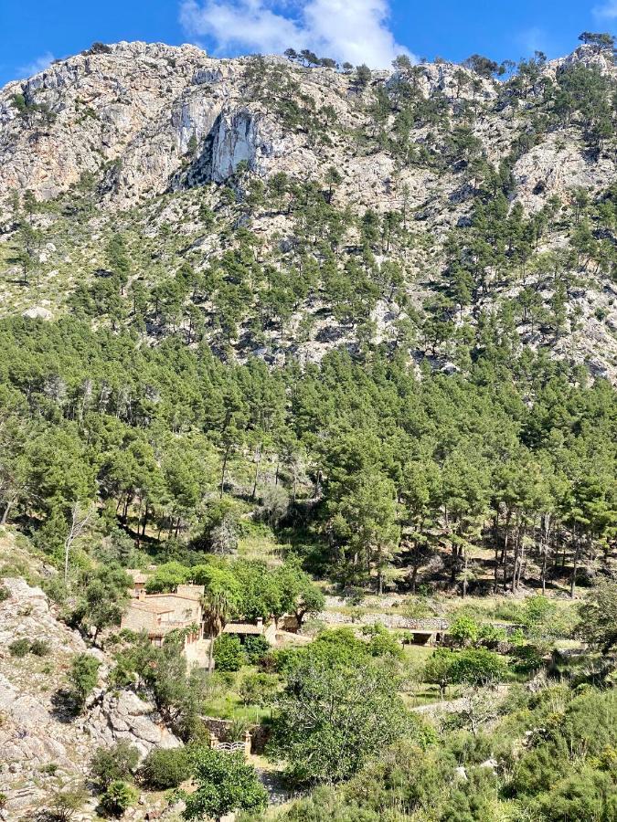 Finca Ses Fontanelles Andratx Exterior photo